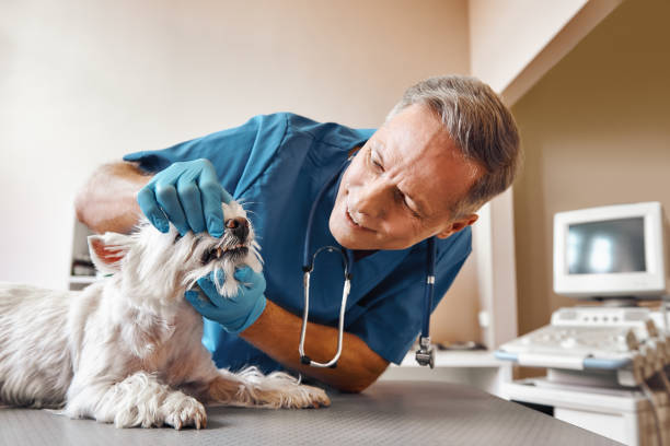 Best Emergency Broken Tooth Repair in Clifton, TN